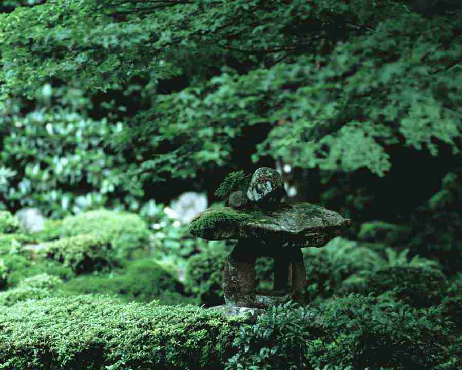 Classical Japanese Style Close - Mixa Image Library ></a>
<script language=JavaScript> 
  var txt = 