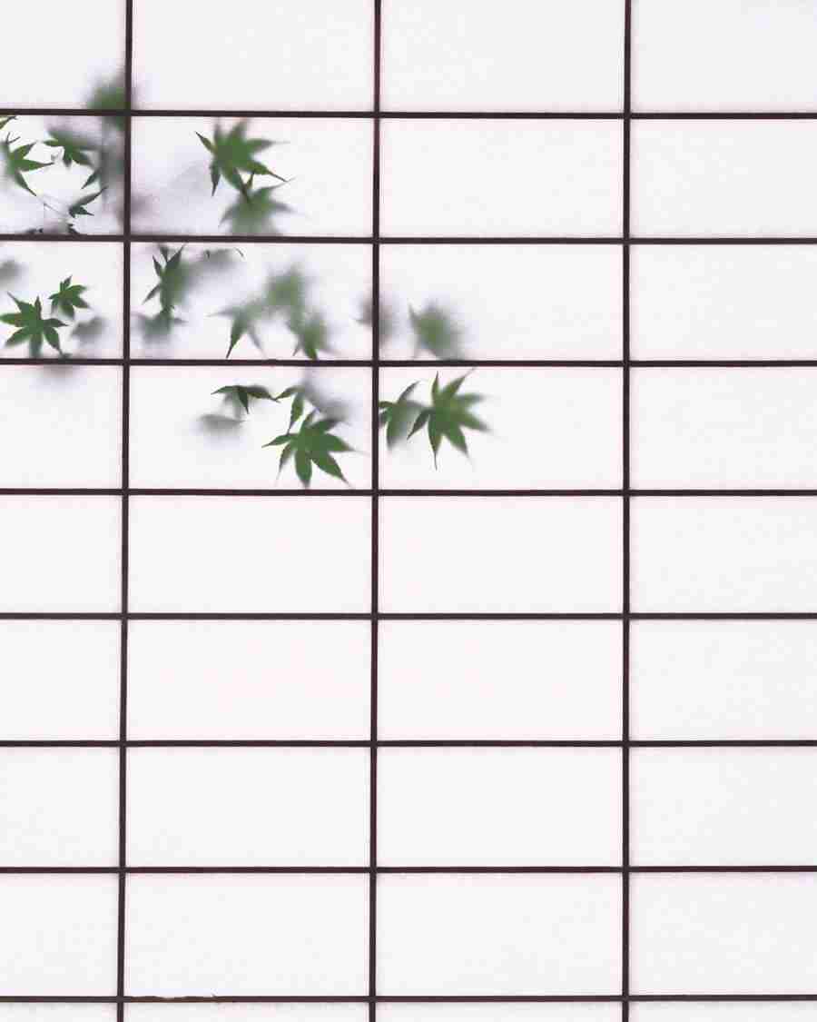 Classical Japanese Style Close - Mixa Image Library ></a>
<script language=JavaScript> 
  var txt = 