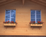 Mixa Image Library: European Windows 