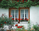 Mixa Image Library: European Windows 