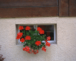 Mixa Image Library: European Windows 