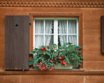 Mixa Image Library: European Windows 