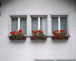 Mixa Image Library: European Windows 