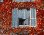 Mixa Image Library: European Windows 