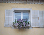 Mixa Image Library: European Windows 