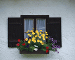 Mixa Image Library: European Windows 