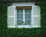 Mixa Image Library: European Windows 