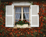 Mixa Image Library: European Windows 