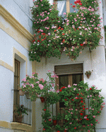 Mixa Image Library: European Windows 