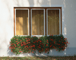 Mixa Image Library: European Windows 