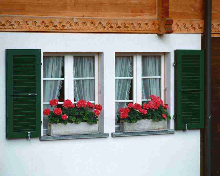 European Windows - Mixa Image Library ></a>
<script language=JavaScript> 
  var txt = 