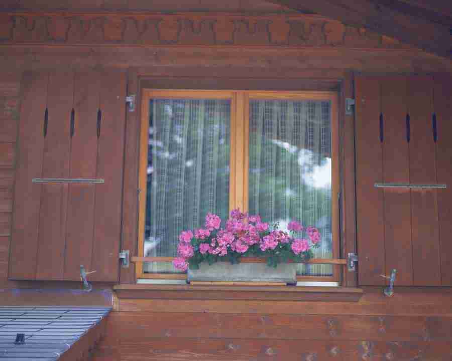 European Windows - Mixa Image Library ></a>
<script language=JavaScript> 
  var txt = 