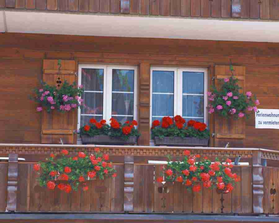 European Windows - Mixa Image Library ></a>
<script language=JavaScript> 
  var txt = 