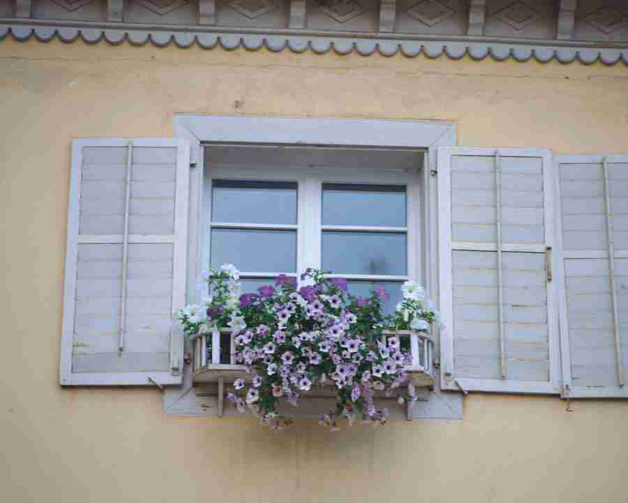 European Windows - Mixa Image Library ></a>
<script language=JavaScript> 
  var txt = 