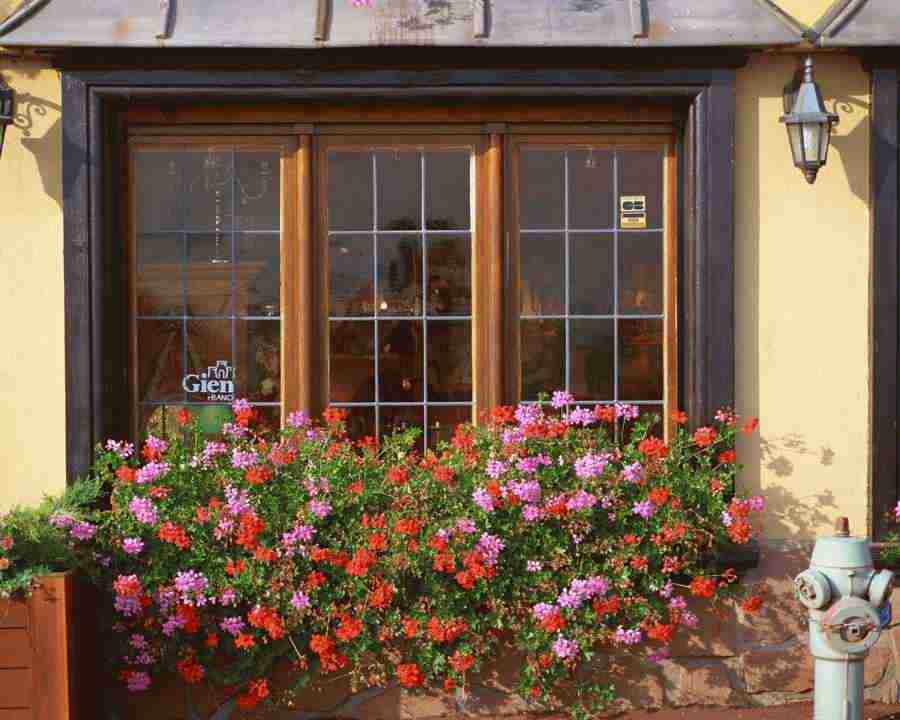 European Windows - Mixa Image Library ></a>
<script language=JavaScript> 
  var txt = 