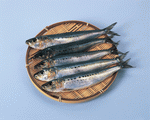 Mixa Image Library: Fish and Meat 