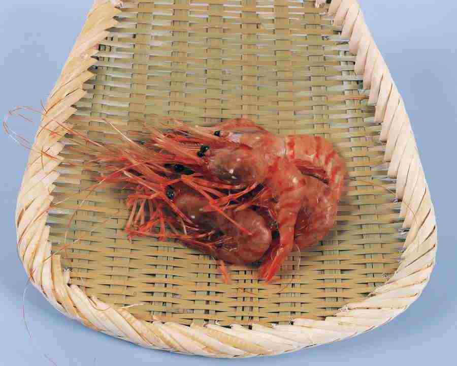 Fish and Meat - Mixa Image Library ></a>
<script language=JavaScript> 
  var txt = 
