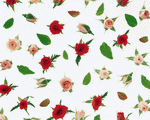 Mixa Image Library: Flower Pattern 