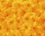 Mixa Image Library: Flower Pattern 