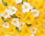 Mixa Image Library: Flower Pattern 