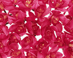 Mixa Image Library: Flower Pattern 