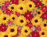 Mixa Image Library: Flower Pattern 