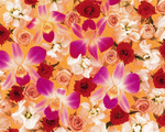 Mixa Image Library: Flower Pattern 