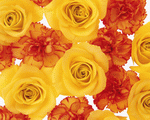 Mixa Image Library: Flower Pattern 