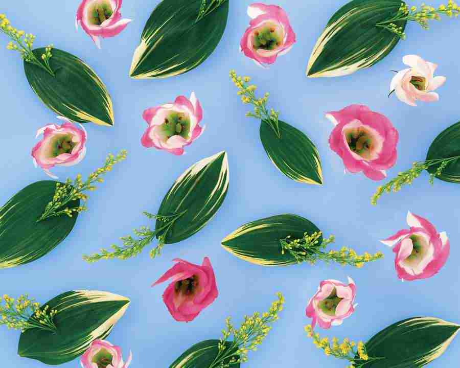 Flower Pattern - Mixa Image Library ></a>
<script language=JavaScript> 
  var txt = 