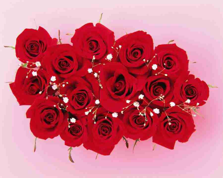 Flower Pattern - Mixa Image Library ></a>
<script language=JavaScript> 
  var txt = 