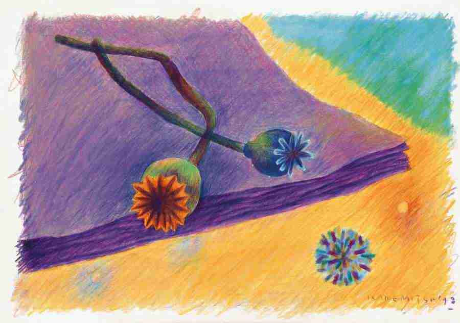 Illustration Gallery - Mixa Image Library ></a>
<script language=JavaScript> 
  var txt = 