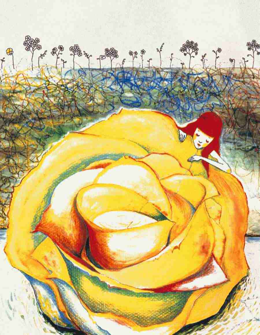 Illustration Gallery - Mixa Image Library ></a>
<script language=JavaScript> 
  var txt = 