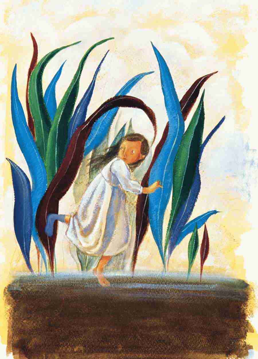 Illustration Gallery - Mixa Image Library ></a>
<script language=JavaScript> 
  var txt = 