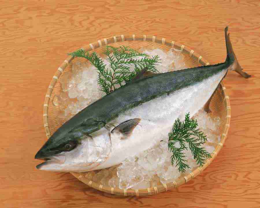 Japanese Foods - Mixa Image Library ></a>
<script language=JavaScript> 
  var txt = 