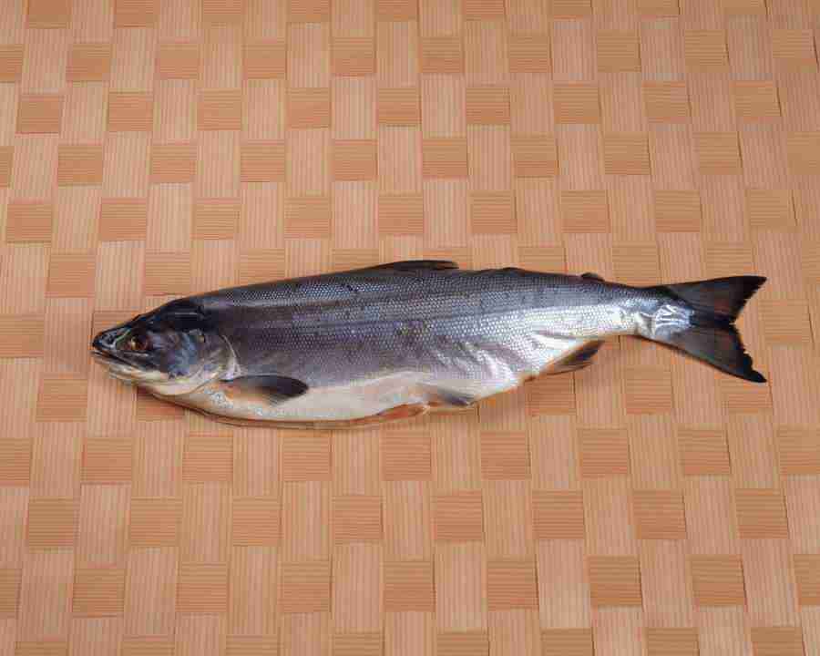 Japanese Foods - Mixa Image Library ></a>
<script language=JavaScript> 
  var txt = 