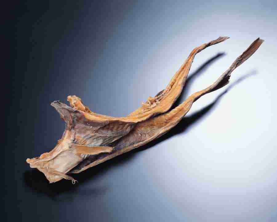 Japanese Foods - Mixa Image Library ></a>
<script language=JavaScript> 
  var txt = 