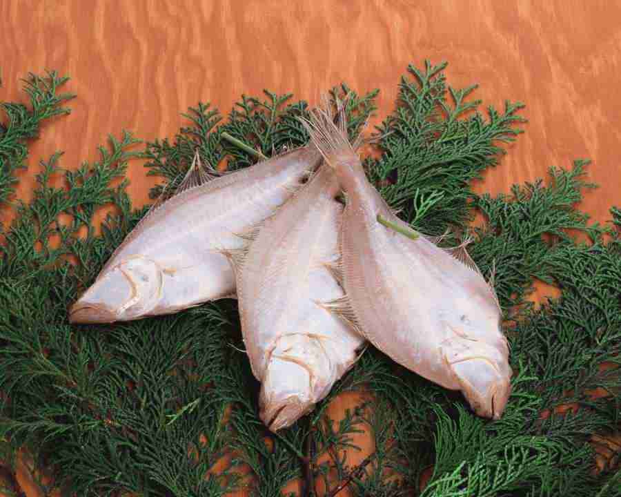 Japanese Foods - Mixa Image Library ></a>
<script language=JavaScript> 
  var txt = 