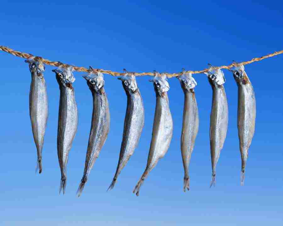 Japanese Foods - Mixa Image Library ></a>
<script language=JavaScript> 
  var txt = 