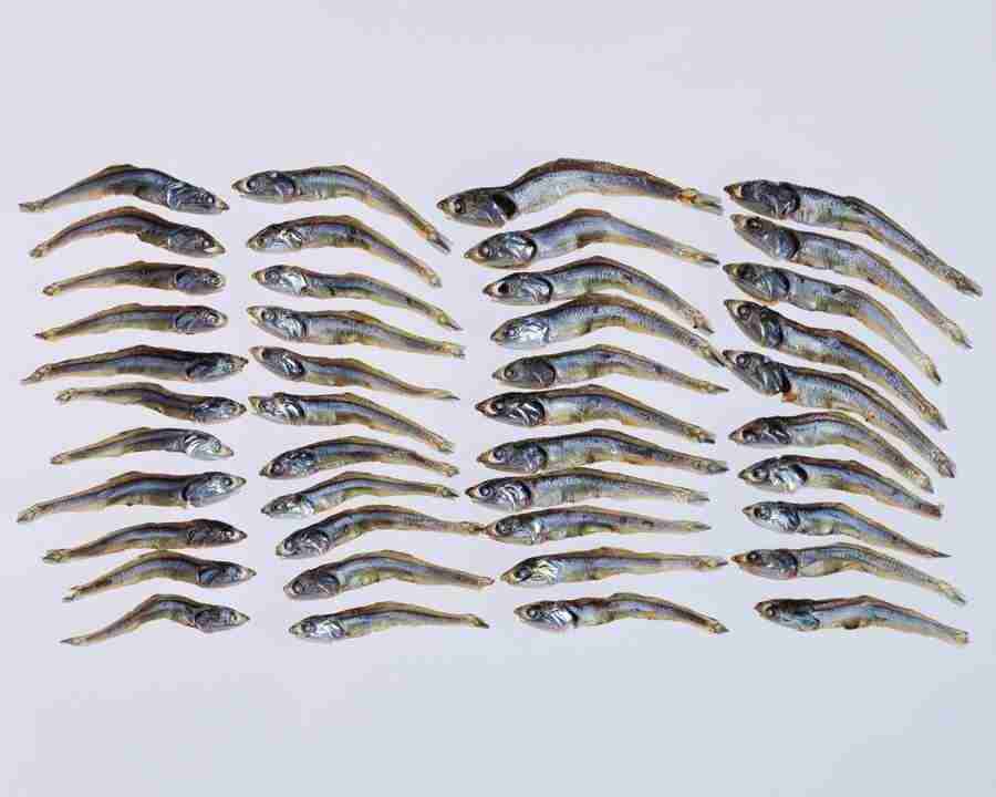 Japanese Foods - Mixa Image Library ></a>
<script language=JavaScript> 
  var txt = 