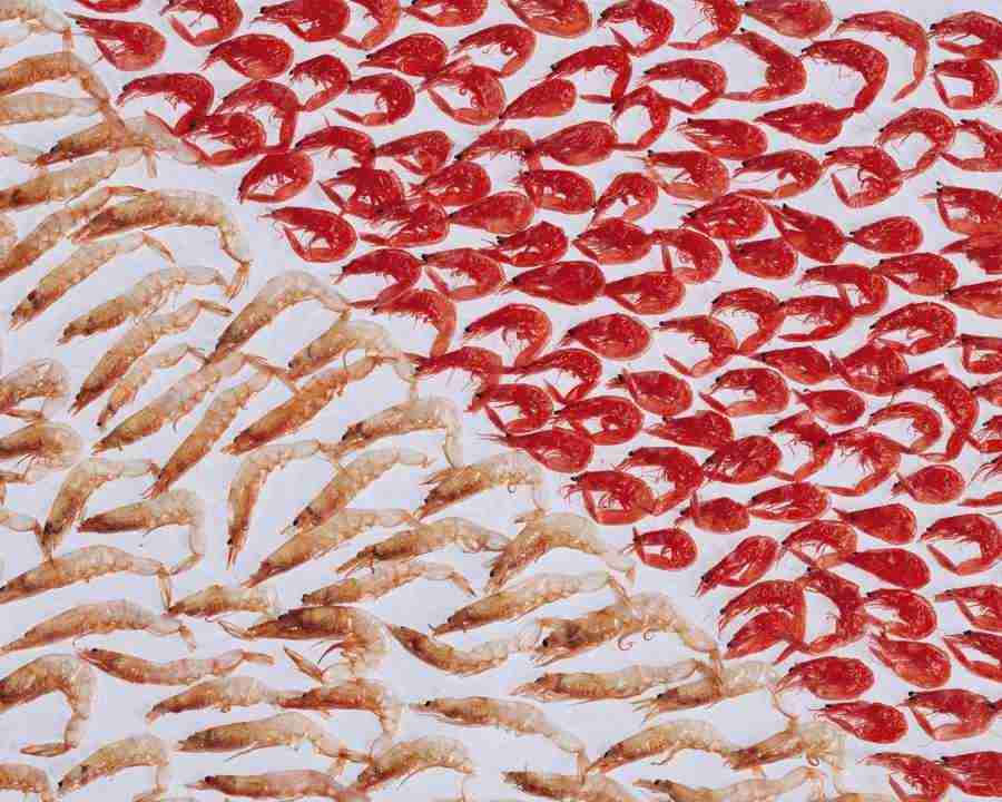 Japanese Foods - Mixa Image Library ></a>
<script language=JavaScript> 
  var txt = 