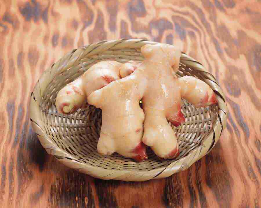 Japanese Foods - Mixa Image Library ></a>
<script language=JavaScript> 
  var txt = 