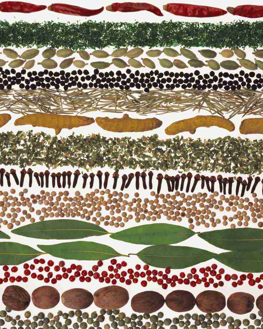 Japanese Foods - Mixa Image Library ></a>
<script language=JavaScript> 
  var txt = 