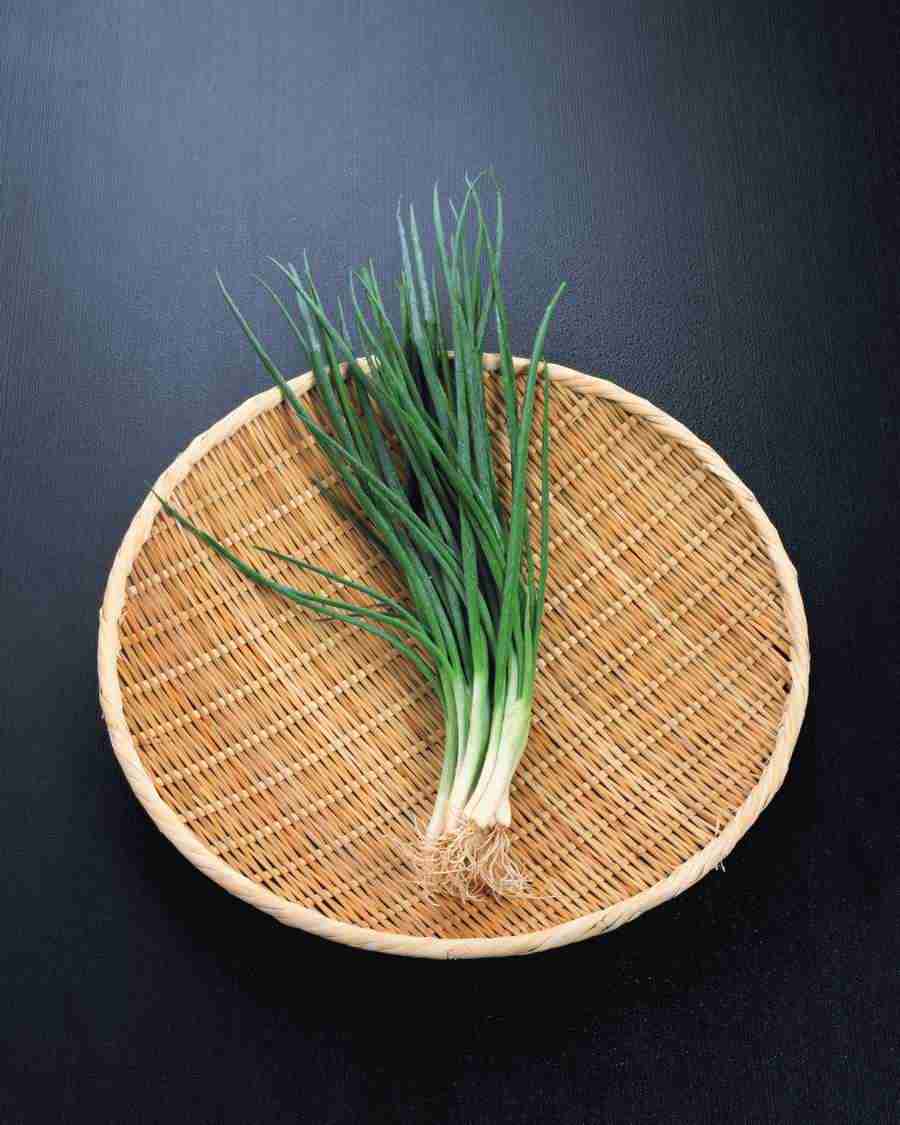 Japanese Foods - Mixa Image Library ></a>
<script language=JavaScript> 
  var txt = 