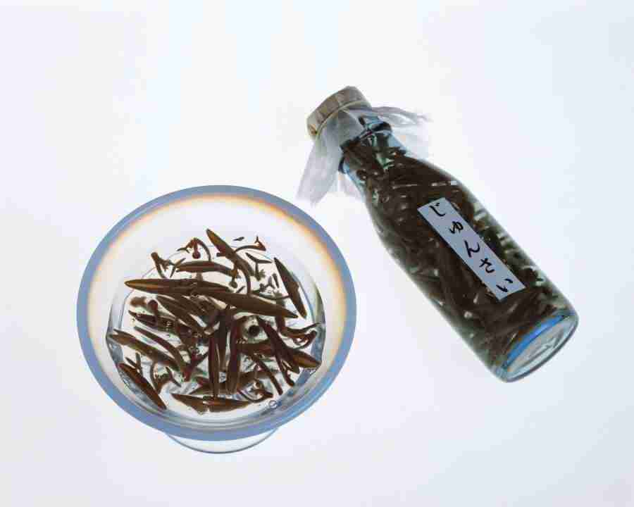 Japanese Foods - Mixa Image Library ></a>
<script language=JavaScript> 
  var txt = 