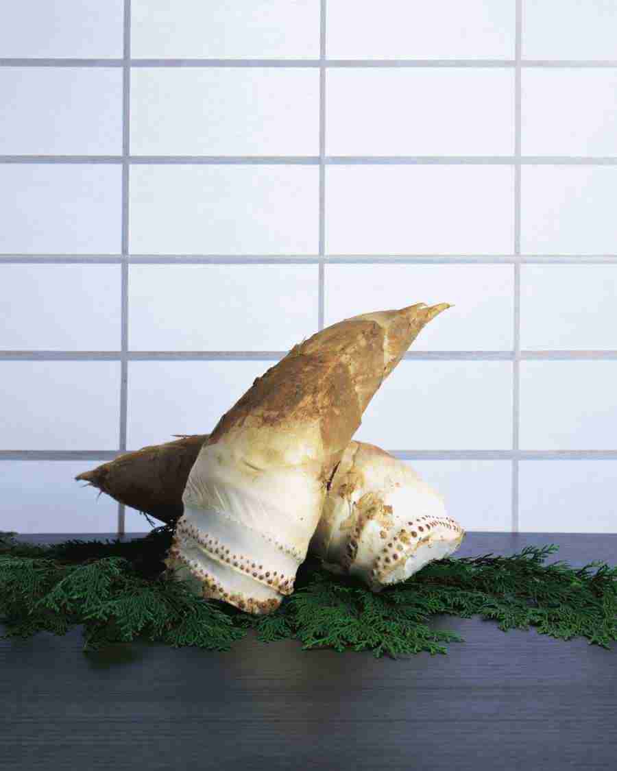 Japanese Foods - Mixa Image Library ></a>
<script language=JavaScript> 
  var txt = 