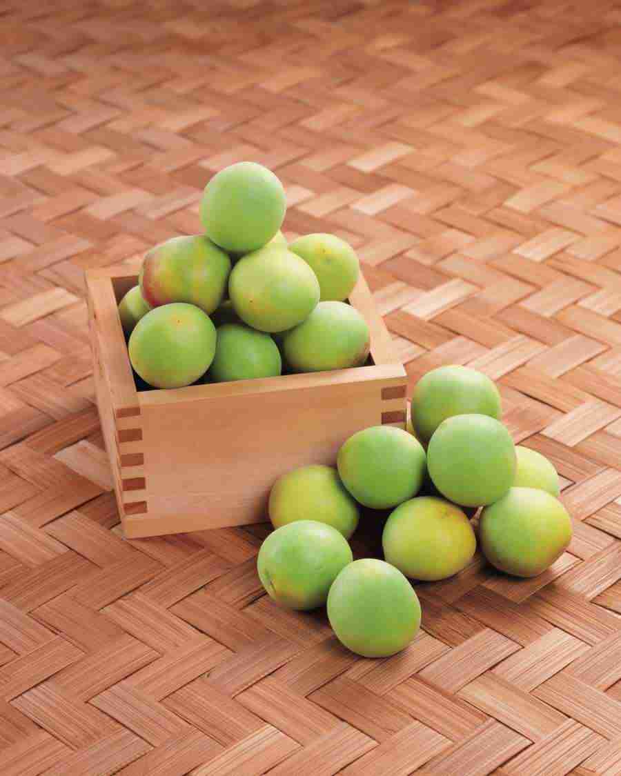 Japanese Foods - Mixa Image Library ></a>
<script language=JavaScript> 
  var txt = 