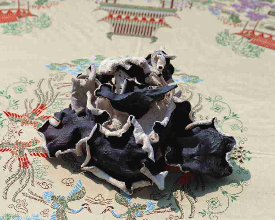 Japanese Foods - Mixa Image Library ></a>
<script language=JavaScript> 
  var txt = 