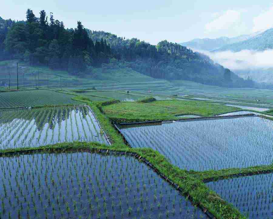 Japanese Four Seasons - Mixa Image Library ></a>
<script language=JavaScript> 
  var txt = 