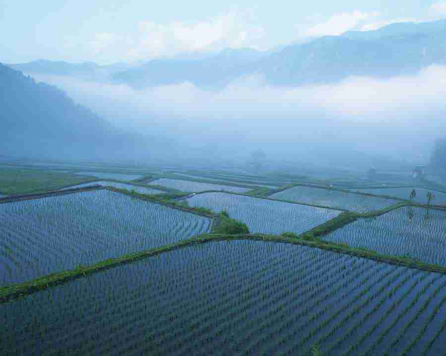 Japanese Four Seasons - Mixa Image Library ></a>
<script language=JavaScript> 
  var txt = 