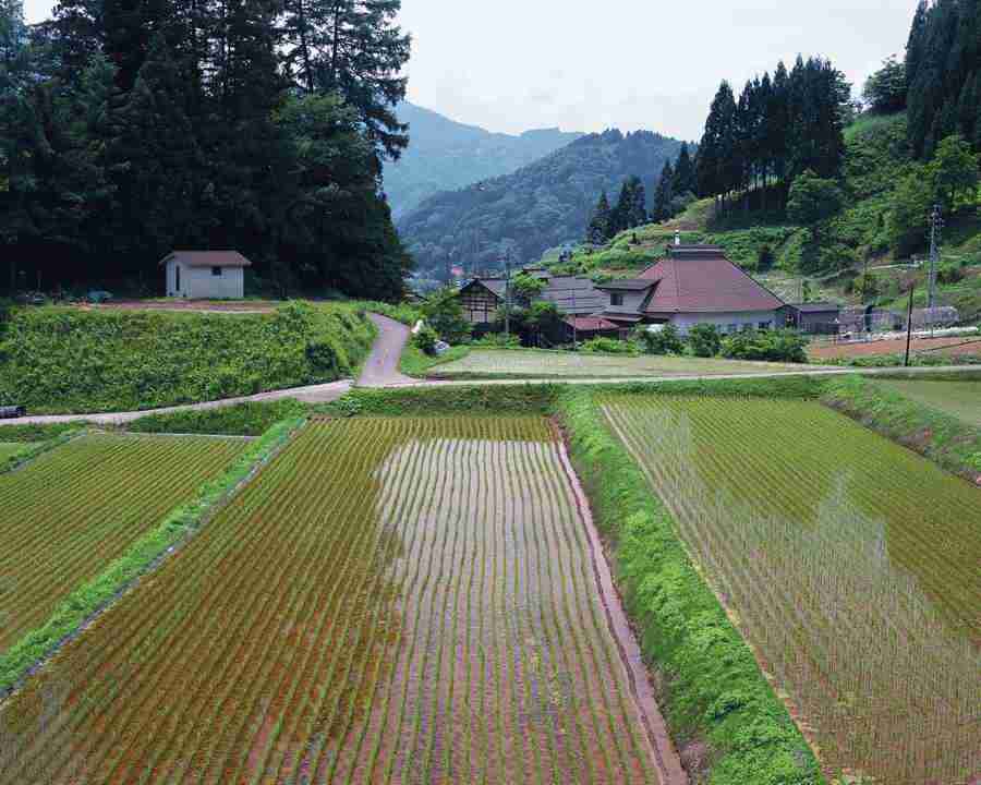 Japanese Four Seasons - Mixa Image Library ></a>
<script language=JavaScript> 
  var txt = 